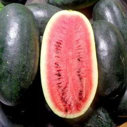 今日宜吃瓜的意思,揭秘娱乐圈最新热点事件