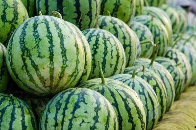 椒江吃瓜各种热门事件,吃瓜群众热议的十大热门事件盘点