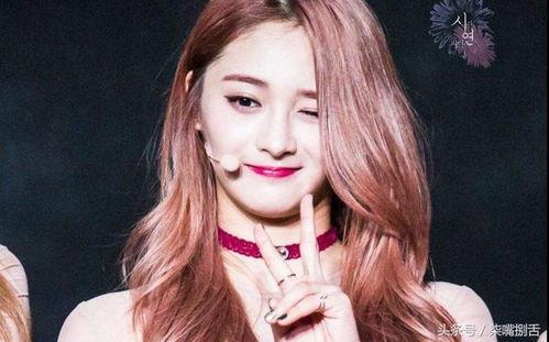 台州明星网红,闪耀网络的新星力量