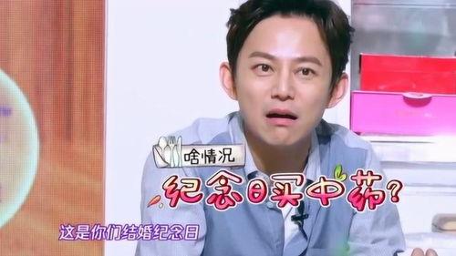 明星网红冰箱,时尚与美食的完美融合