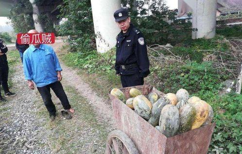 魏县热门吃瓜事件视频,视频揭秘背后的惊人真相