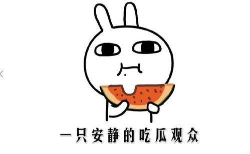 抖音黑料吃瓜,吃瓜群众如何解读网络热点事件