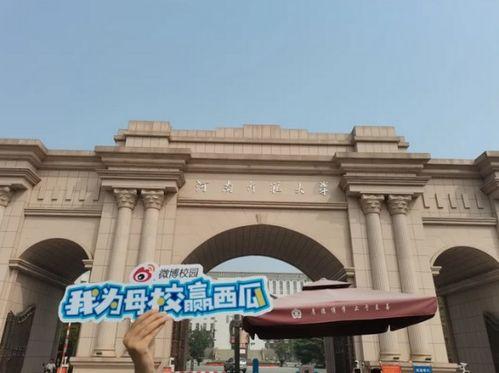 吃瓜热门长清大学,吃瓜群众热议的校园风云