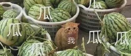 今日最新黑料吃瓜,明星隐私曝光，真相令人震惊！