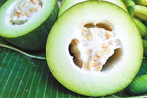 白姨黑历史吃瓜,那些被遗忘的黑历史与吃瓜瞬间