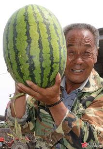 曲阳吃瓜爆料最新