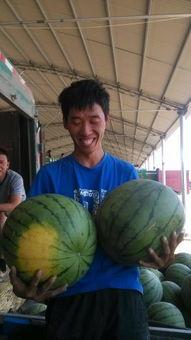 青州今日吃瓜事件,一场网络热议背后的真相与反思