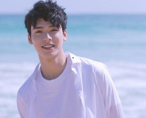 明星网红男童,网红男童的璀璨星途