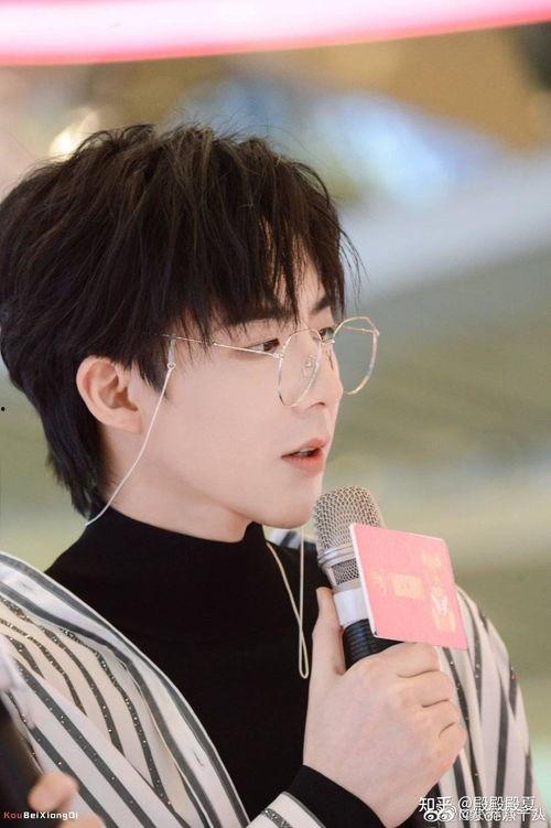 明星网红男童,网红男童的璀璨星途