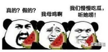 最劲爆的爆料吃瓜,娱乐圈惊天大瓜，真相令人震惊！