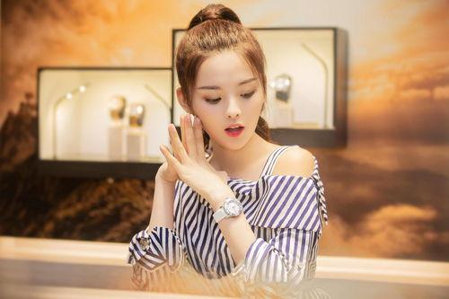 taxx明星网红,揭秘网红明星的税务智慧与合规之路