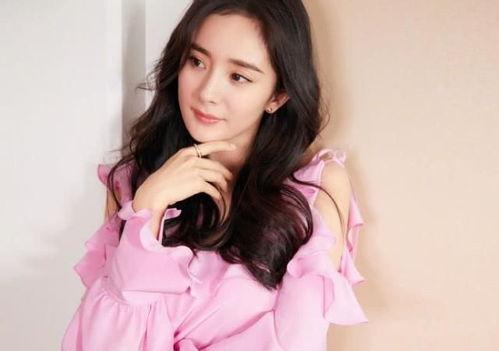 支持明星网红,揭秘明星网红背后的商业帝国