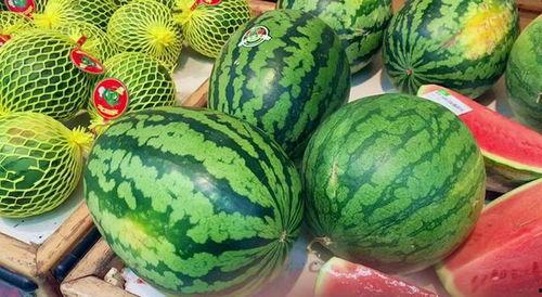 俄罗斯今日吃瓜