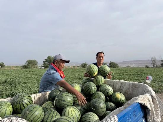 安安每天吃瓜爆料,揭秘娱乐圈幕后风云