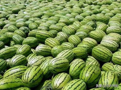 51吃瓜大瓜今日入口网页,今日热门事件盘点