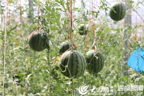 五一热门吃瓜事件