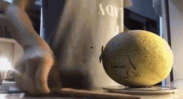 带你吃瓜搞笑黑科技,揭秘网络新潮流