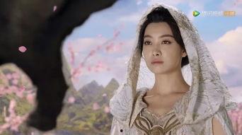 泰山明星网红,揭秘泰山明星的网红之路