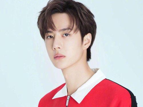 泰山明星网红,揭秘泰山明星的网红之路