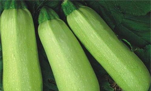 网络热门吃瓜视频鉴赏,揭秘娱乐圈幕后故事