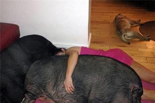 济南女生爆料吃瓜,揭秘校园吃瓜事件背后的真相