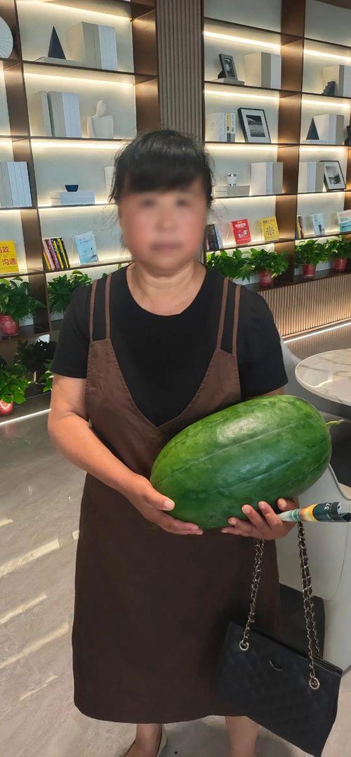 今日吃瓜每日大瓜热点大瓜,揭秘今日吃瓜大瓜，一网打尽娱乐圈最新动态