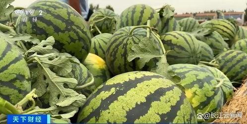 热门吃瓜在哪里看,一网打尽全网热点，尽在“吃瓜在哪里”