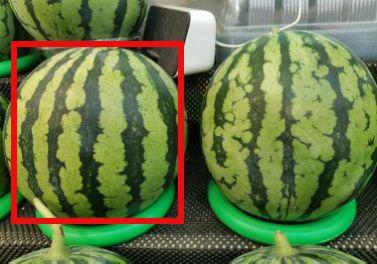 热门吃瓜在哪里看,一网打尽全网热点，尽在“吃瓜在哪里”