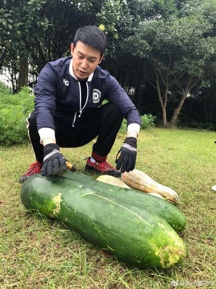 有哪些吃瓜爆料,吃瓜群众揭秘明星幕后故事