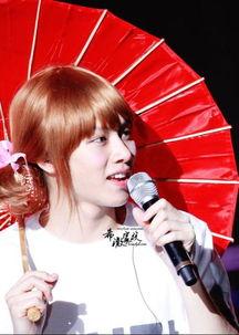 明星网红伞,时尚与影响力的完美融合