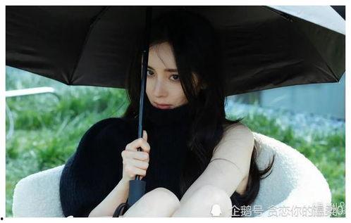 明星网红伞,时尚与影响力的完美融合