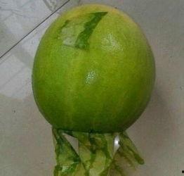 潮州今日吃瓜事件最新,揭秘背后真相与网络舆论风暴