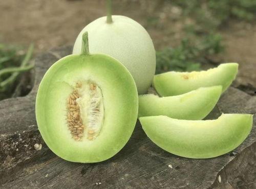 香瓜弟弟今日吃瓜视频,揭秘娱乐圈最新热点事件