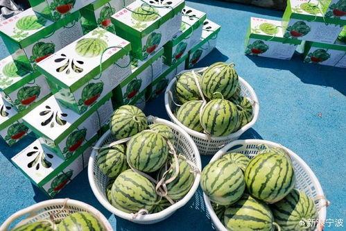 大林子吃瓜爆料